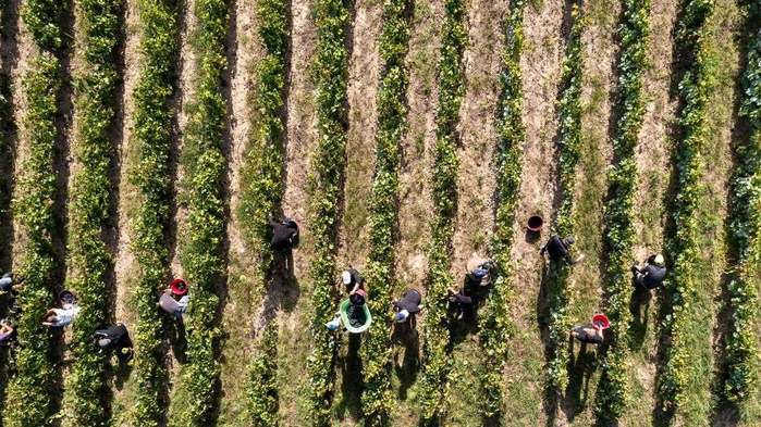 Trois personnes condamnées en France pour esclavagisme Trois personnes condamnées en France pour esclavagisme