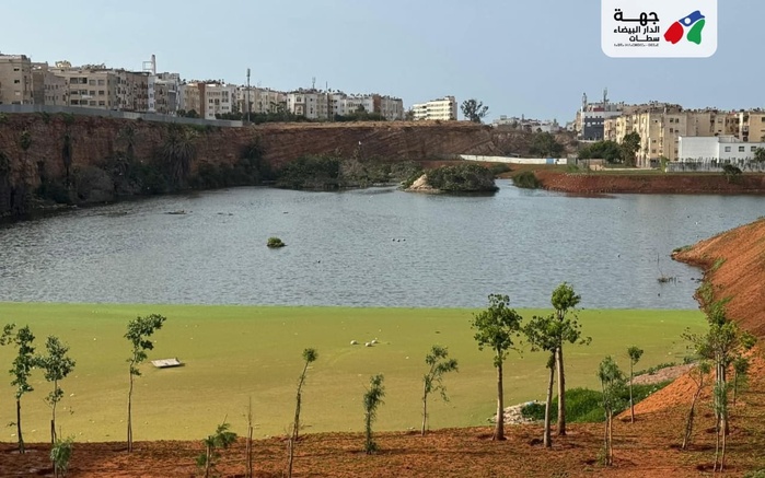 Lagune d'El Oulfa: Un souffle écologique pour Casablanca Lagune d'El Oulfa: Un souffle écologique pour Casablanca