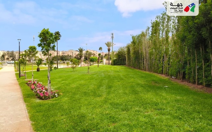 Lagune d'El Oulfa: Un souffle écologique pour Casablanca Lagune d'El Oulfa: Un souffle écologique pour Casablanca