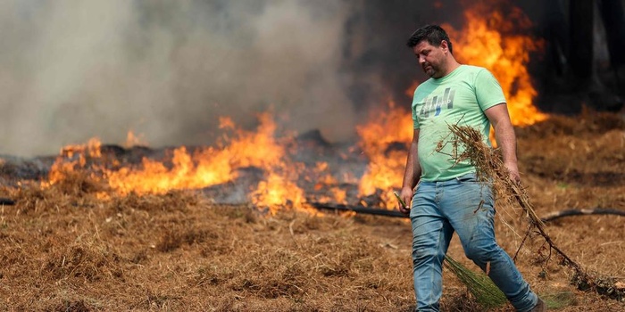 Le Portugal en état d’alerte en raison du risque d’incendies de forêt Le Portugal en état d’alerte en raison du risque d’incendies de forêt