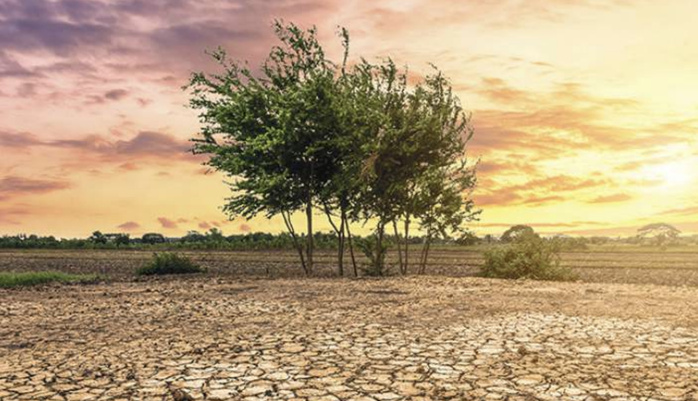 Alerte FAO : Sécheresse et dépendance aux importations, la double peine du Maroc Alerte FAO : Sécheresse et dépendance aux importations, la double peine du Maroc