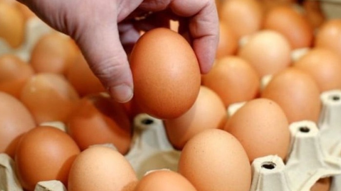 Œufs : La FISA s’explique sur la flambée des prix Œufs : La FISA s’explique sur la flambée des prix