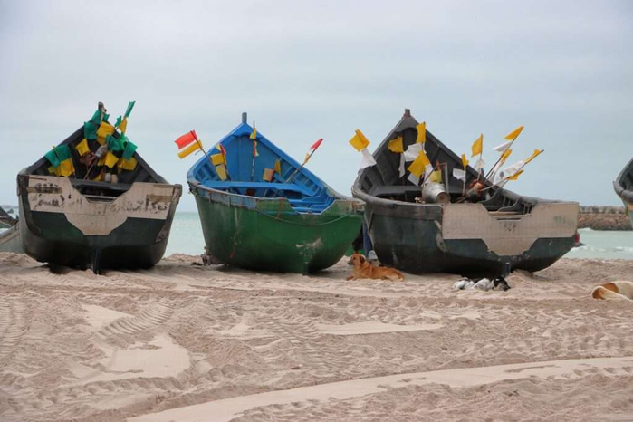 Boujdour : Lancement d'une nouvelle phase de développement des villages de pêcheurs sous supervision régionale Boujdour : Lancement d'une nouvelle phase de développement des villages de pêcheurs sous supervision régionale