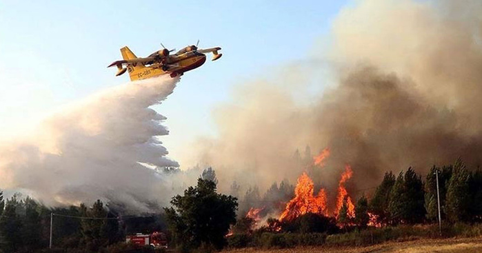 Feux de forêts : le Nord du Royaume sous la menace d'un risque extrême