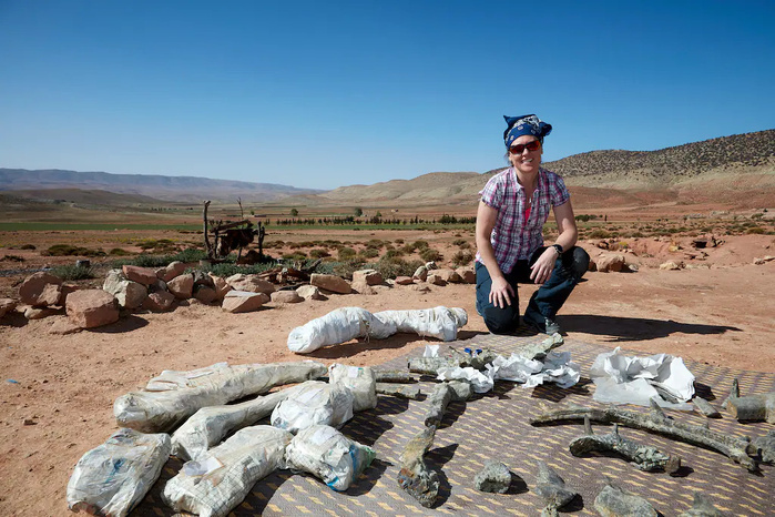 PR Susannah Maidmentavec les ossements récemment découverts à Boulemane, en 2023. (Ph : AFP) PR Susannah Maidmentavec les ossements récemment découverts à Boulemane, en 2023. (Ph : AFP)