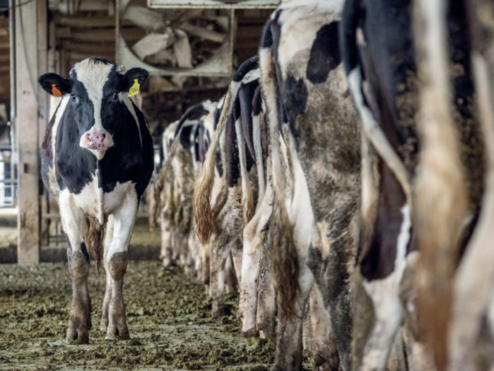 La viande rouge continue de voir son prix grimper. La viande rouge continue de voir son prix grimper.