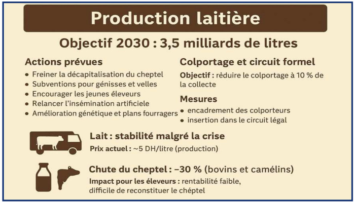 Prix du lait vs viande : Deux dynamiques opposées affectent les éleveurs [INTÉGRAL] 