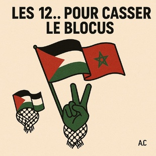 Quatre femmes et dix hommes du Maroc pour briser le blocus de Gaza Quatre femmes et dix hommes du Maroc pour briser le blocus de Gaza