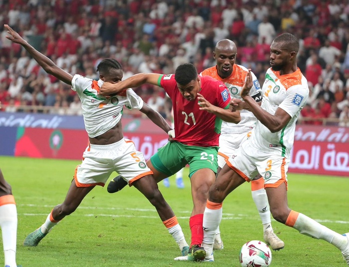 Lions de l’Atlas : Comment ils ont évolué ? Lions de l’Atlas : Comment ils ont évolué ?