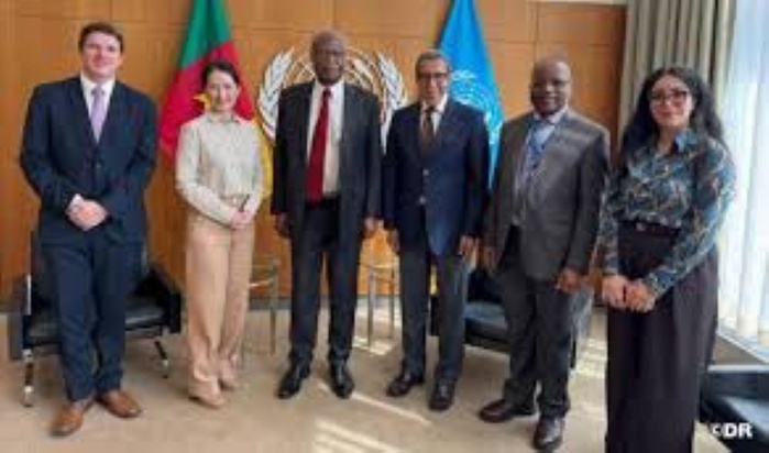 ONU: le Maroc conclut avec succès la négociation de la déclaration politique du deuxième Sommet social prévu à Doha ONU: le Maroc conclut avec succès la négociation de la déclaration politique du deuxième Sommet social prévu à Doha