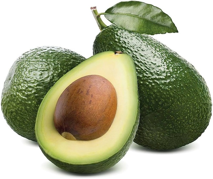 Le Maroc troisième plus grand producteur d’avocats en Afrique