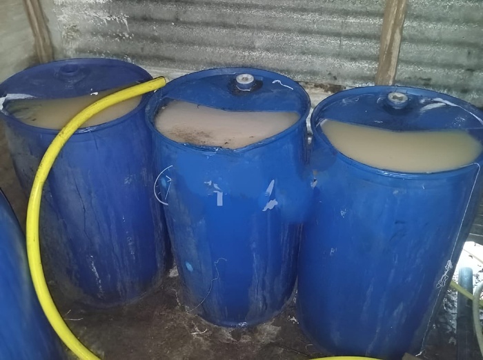 Double coup de filet spectaculaire à El Jadida : Mahia clandestine et cargaison de drogues interceptées en une seule journée Double coup de filet spectaculaire à El Jadida : Mahia clandestine et cargaison de drogues interceptées en une seule journée