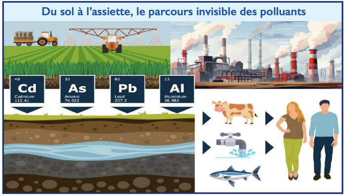 Innocuité sanitaire de nos poteries : Après le vernis, l’argile doit-elle être mise à l’index ? [INTÉGRAL]