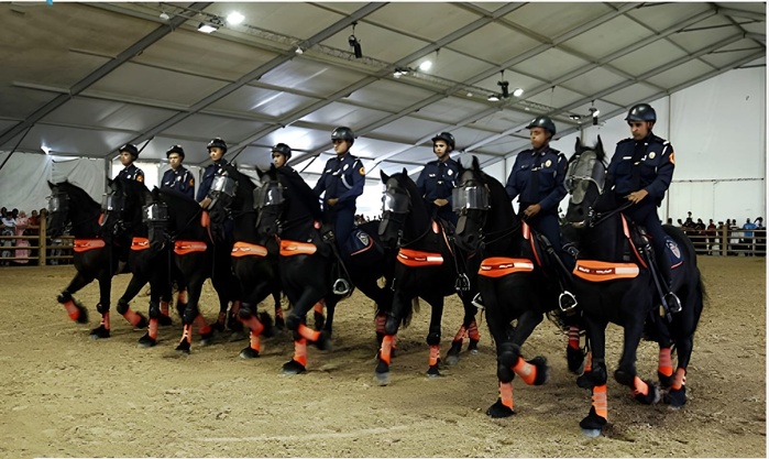 Salon du cheval d'El Jadida : Prestation magistrale de la Police Montée ! Salon du cheval d'El Jadida : Prestation magistrale de la Police Montée !