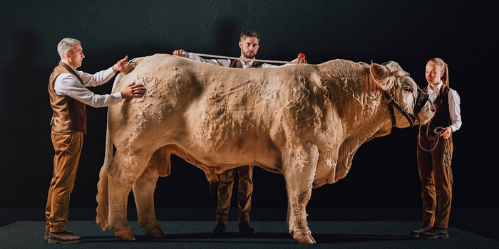 Photo: tous droits réservés. Photo: tous droits réservés.