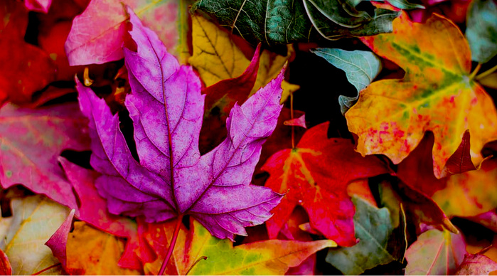 Le 7 octobre Le 7 octobre