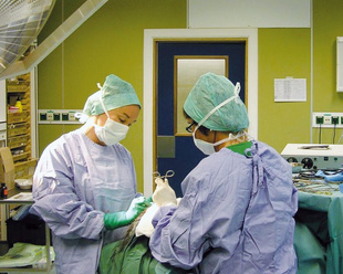 Crise du système de santé : Les annonces d’Amine Tahraoui pour sortir de l’impasse Crise du système de santé : Les annonces d’Amine Tahraoui pour sortir de l’impasse