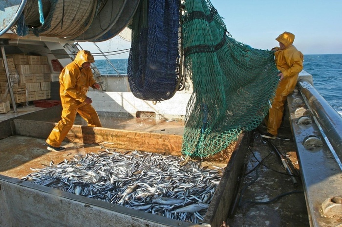 ​Safi, phare d'une pêche en regain