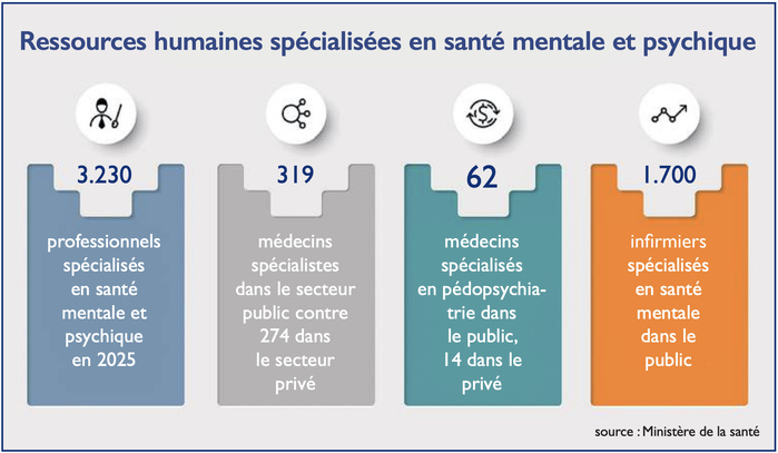 Errance et détresse psychique : Symptôme d’un système de prise en charge lacunaire [INTÉGRAL]