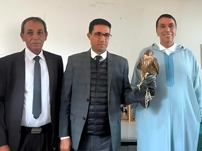 Culture: Le nouveau gouverneur rend hommage à la fauconnerie des Doukkala Culture: Le nouveau gouverneur rend hommage à la fauconnerie des Doukkala