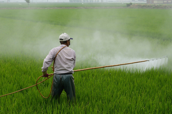 L'UE exporte des pesticides interdits vers l'Afrique L'UE exporte des pesticides interdits vers l'Afrique