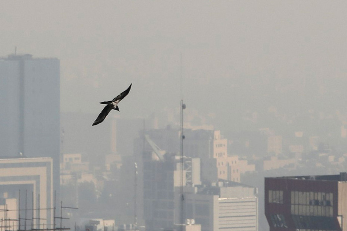L'Iran ferme des écoles face au pic de pollution L'Iran ferme des écoles face au pic de pollution