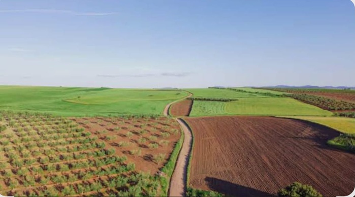 ​Agriculture – Casablanca-Settat : Les pluies redonnent confiance aux agriculteurs pour la campagne 2025-2026