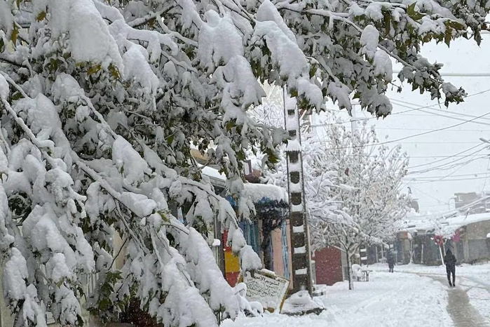 Bulletin d'alerte : Chutes de neiges, averses parfois orageuses avec grêle et fortes rafales de vent de mercredi à jeudi Bulletin d'alerte : Chutes de neiges, averses parfois orageuses avec grêle et fortes rafales de vent de mercredi à jeudi