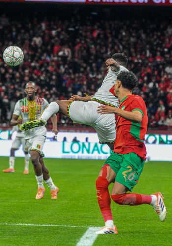 CAN 2025: Les Lions concèdent le nul face aux Aigles 