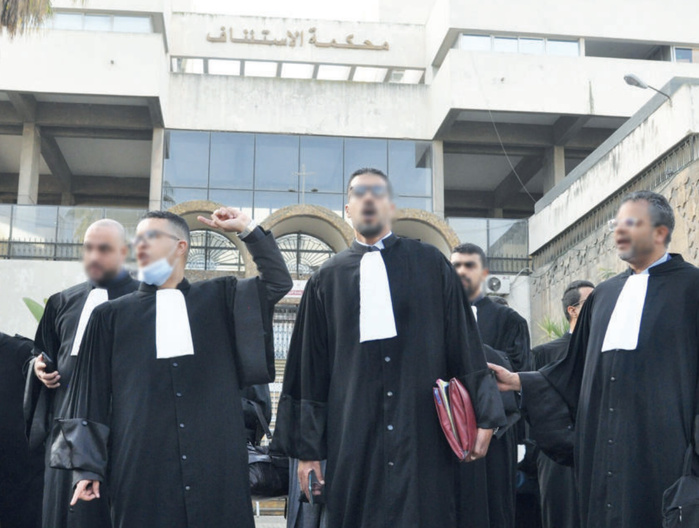 Ouahbi face aux avocats : Après une trêve fragile, la discorde !