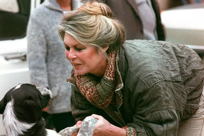 Brigitte Bardot, le 17 janvier 1989 à Cabriès, dans le sud de la France © GERARD FOUET / AFP/Archives