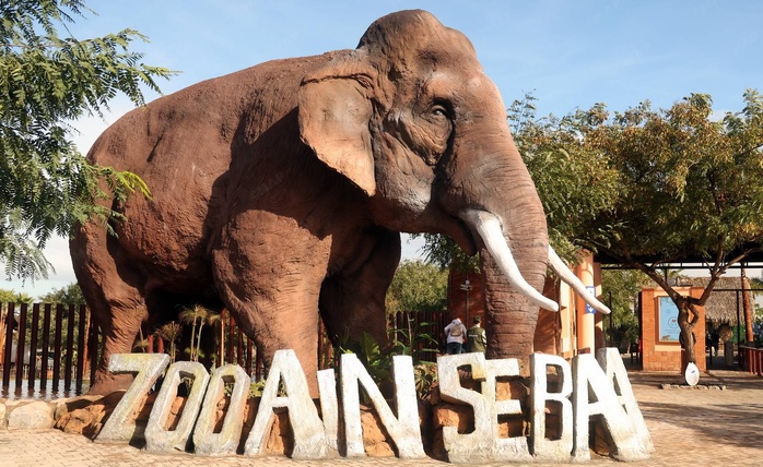 Casablanca : Le parc zoologique d’Aïn Sebaâ rouvre ses portes après un vaste réaménagement