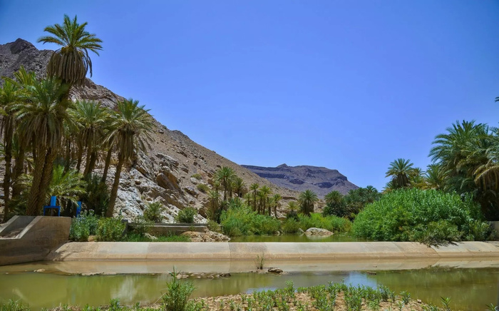 Oasis de Tata : les seguias, un patrimoine écologique et un système traditionnel de gestion de l’eau Oasis de Tata : les seguias, un patrimoine écologique et un système traditionnel de gestion de l’eau