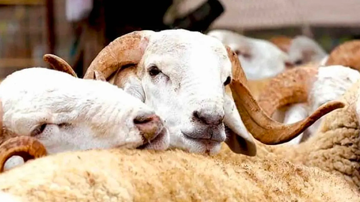 Rétrospective 2025 : Moments forts d’une année riche en exploits Rétrospective 2025 : Moments forts d’une année riche en exploits