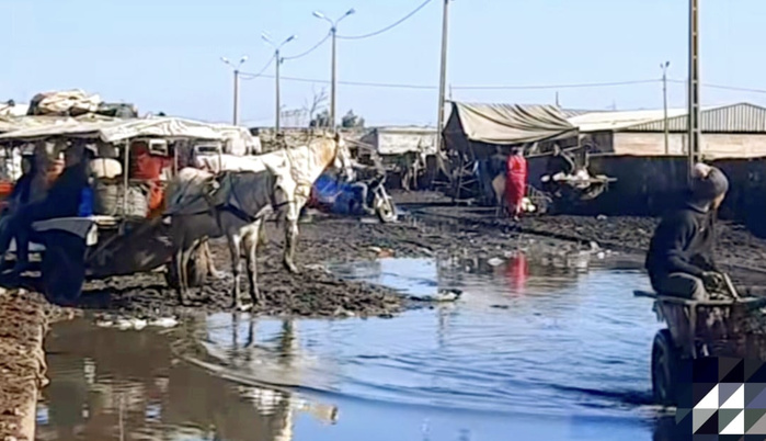 ​Sidi Bennour: Souk hebdomadaire, miroir d'un chaos municipal