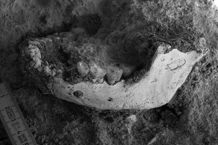 Fossiles : Une étude met en avant l'origine marocaine de l'Homo sapiens !