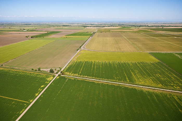 Fès-Meknès : Une campagne agricole 2025-2026 sous des horizons "très favorables" Fès-Meknès : Une campagne agricole 2025-2026 sous des horizons "très favorables"