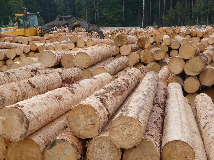 Bois de chauffe : Les prix flambent et les pénuries s’installent Bois de chauffe : Les prix flambent et les pénuries s’installent