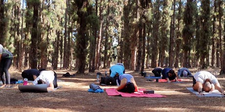 Yoga : une issue pour gérer le stress