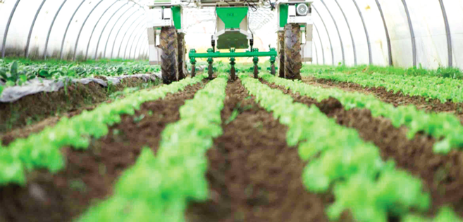 « Génération Green 2020-2030 » « Génération Green 2020-2030 »