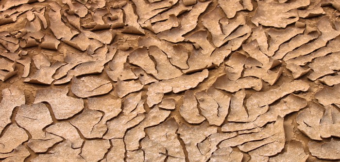 Agriculture : la DRA soutient les agriculteurs  Agriculture : la DRA soutient les agriculteurs