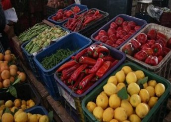 La production légumière couvre les besoins du marché jusqu’en décembre 2020 La production légumière couvre les besoins du marché jusqu’en décembre 2020