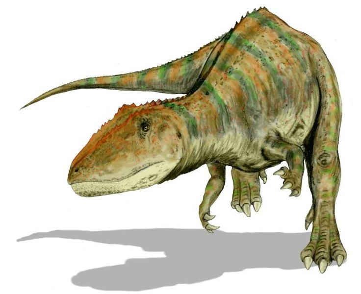 Carcharodontosaurus à dents de sabre