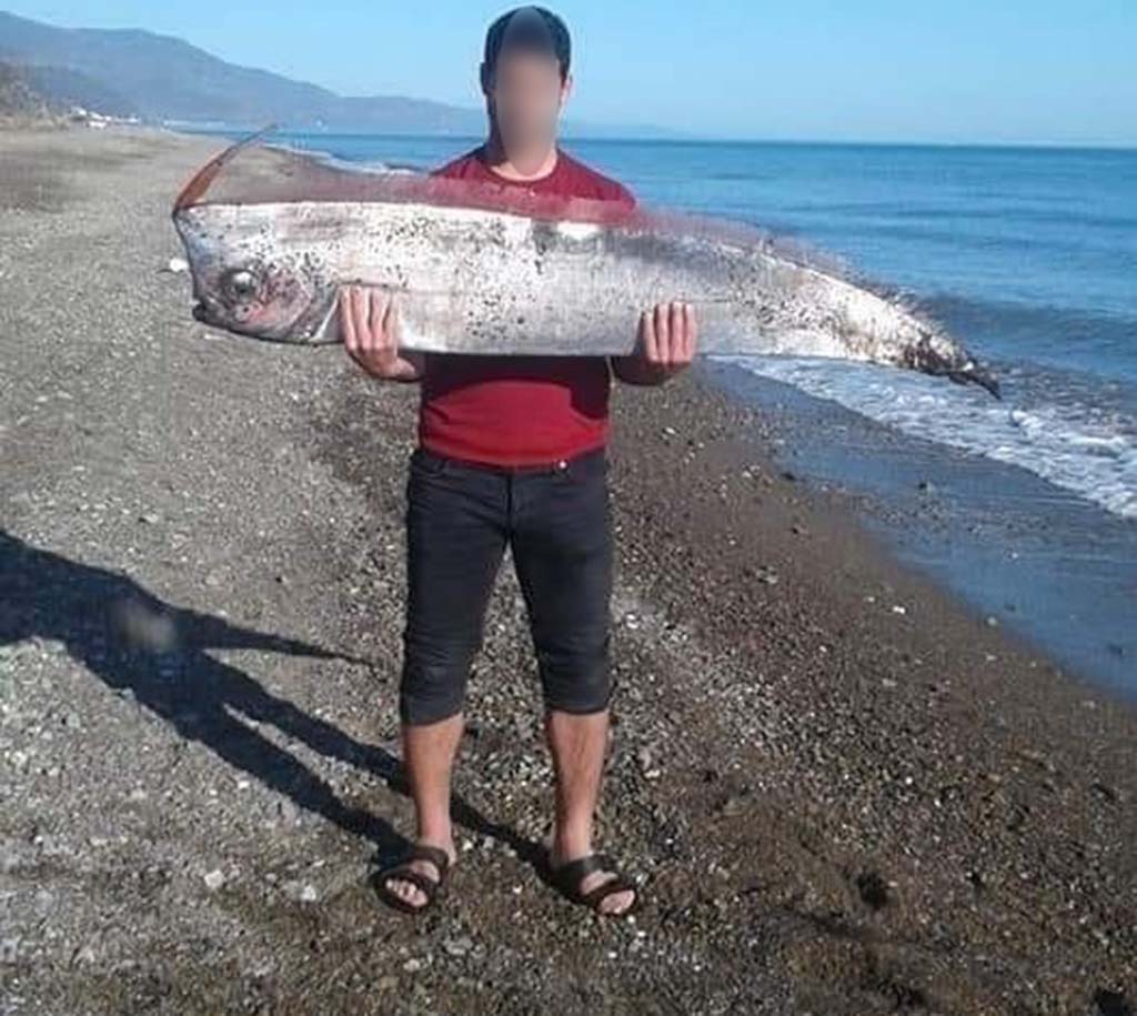 Jebha Echouage D Un Regalec