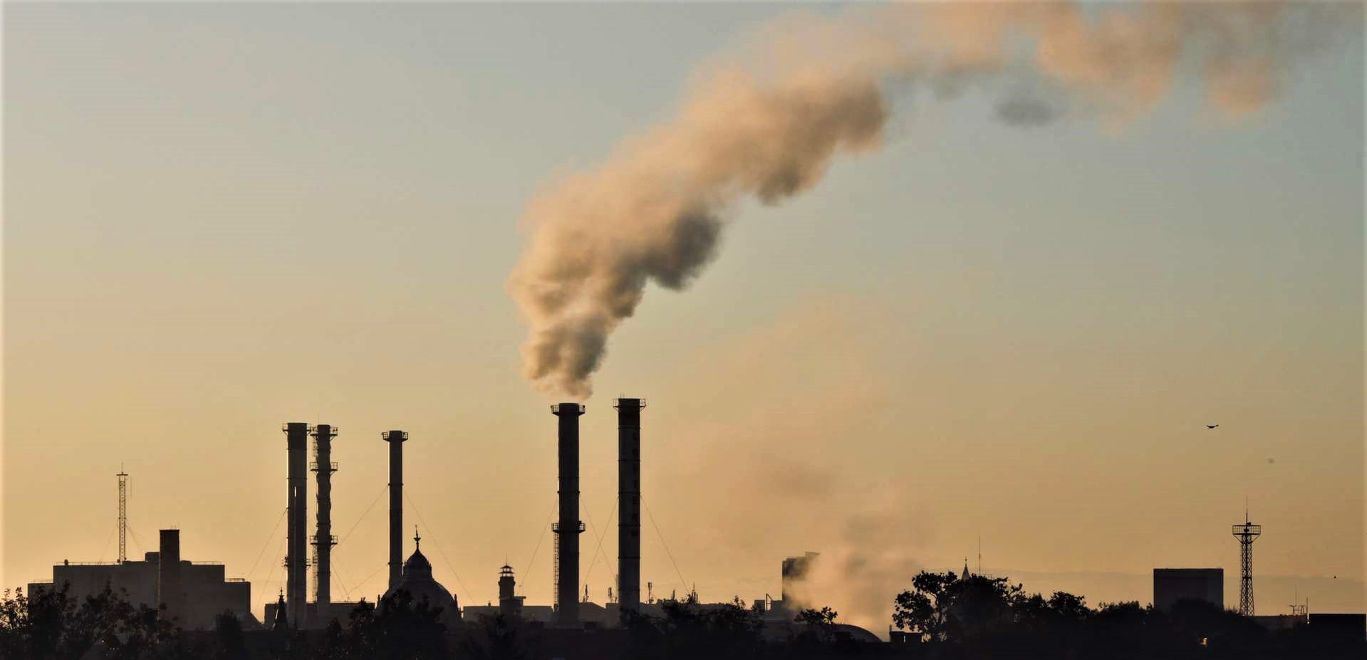 Les émissions mondiales de gaz à effet de serre baisseront entre 4 et 7% en 2020 Les émissions mondiales de gaz à effet de serre baisseront entre 4 et 7% en 2020