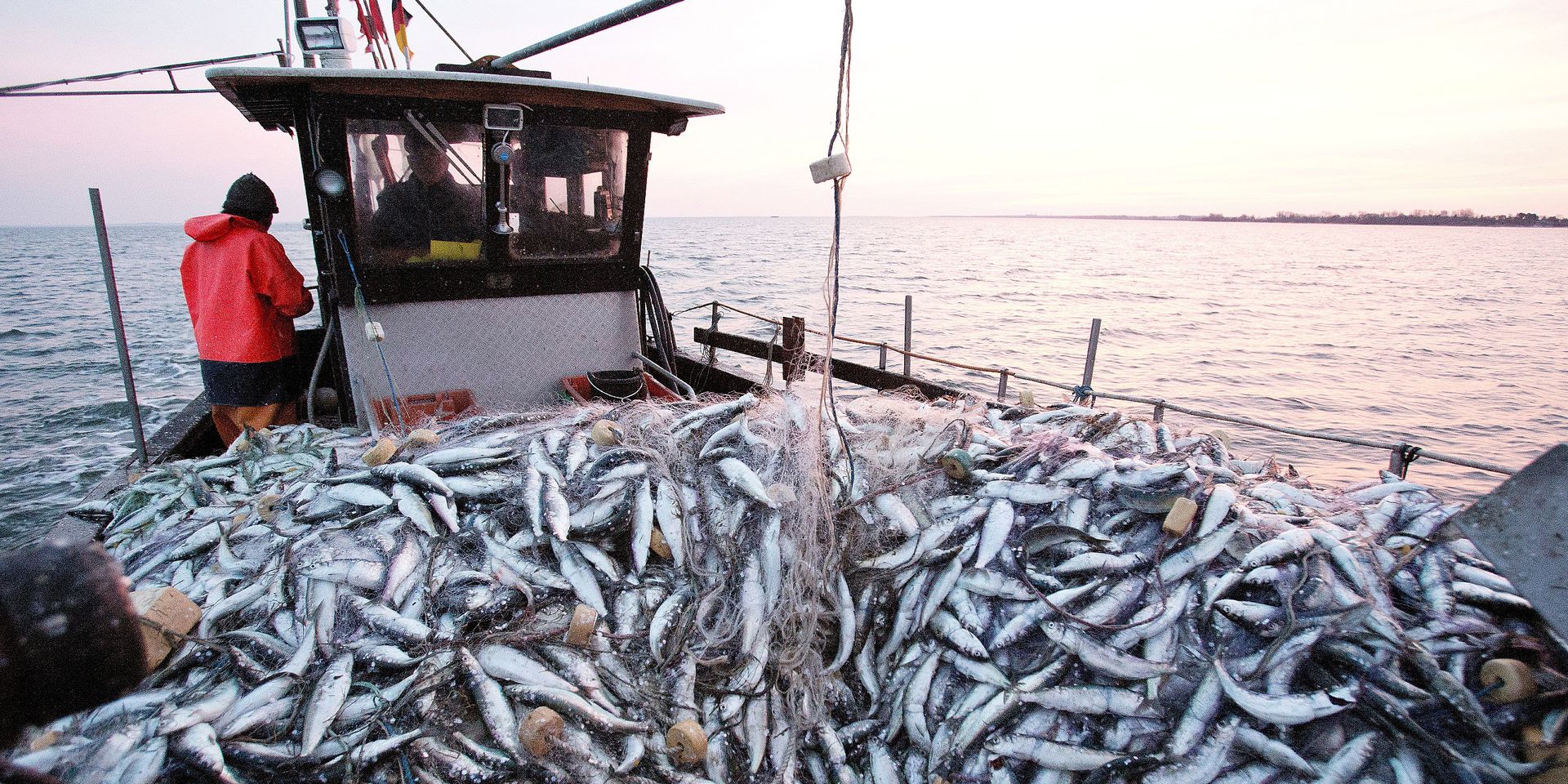 Covid-19 : Chute de 6,5% des activités de pêche à l'échelle mondiale