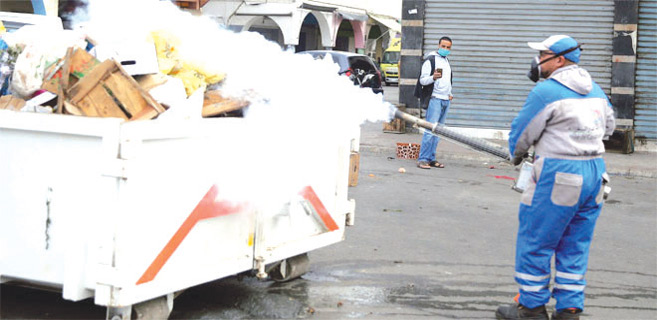 Casablanca : Opération de dératisation commando Casablanca : Opération de dératisation commando