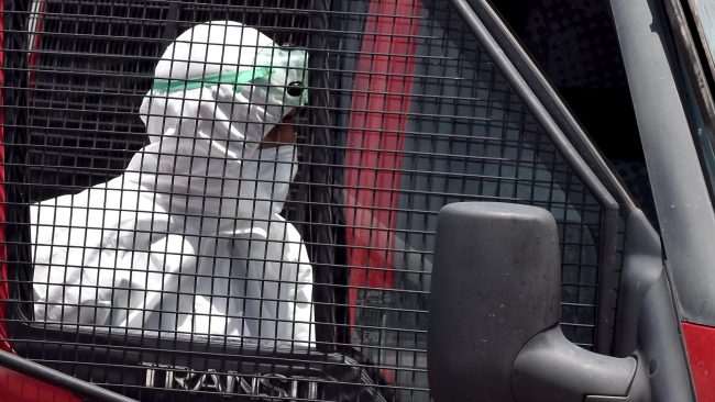 Compteur coronavirus : Le bilan s'alourdit à plus de 11.800 cas positifs Compteur coronavirus : Le bilan s'alourdit à plus de 11.800 cas positifs