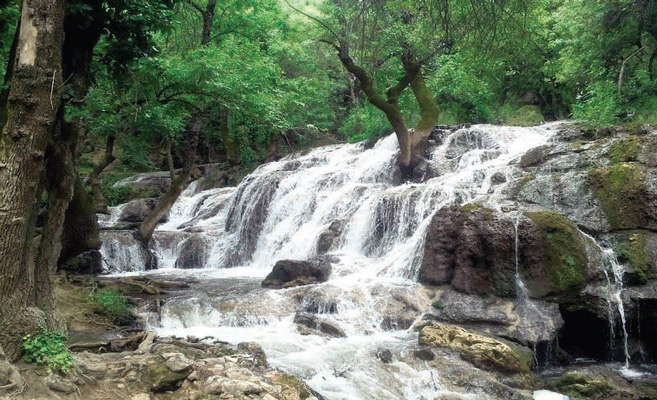 frane / Déconfinement : Les joies des pique-niques retrouvées frane / Déconfinement : Les joies des pique-niques retrouvées