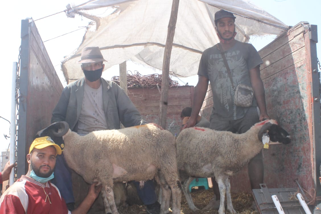 Les petits métiers de l'Aid Al-Adha fleurissent à nouveau